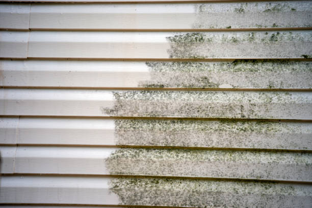 Affordable Siding Repair and Maintenance Services in Sparta, GA